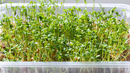 Similar image 21887884