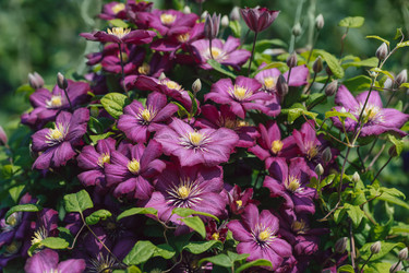 Similar image 21887885