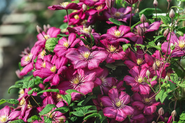 Similar image 21887887