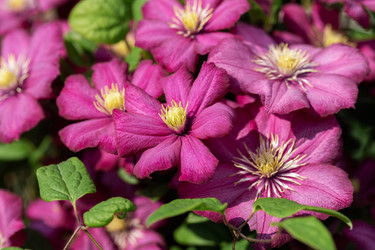 Similar image 21887981