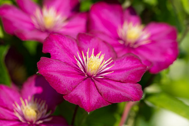 Similar image 21887983