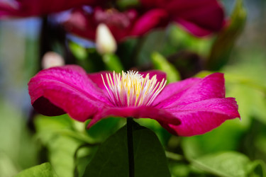 Similar image 21887985