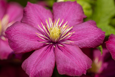 Similar image 21887987