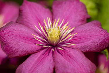 Similar image 21887989