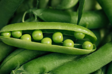 Similar image 21887990