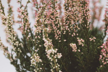 Similar image 21887991