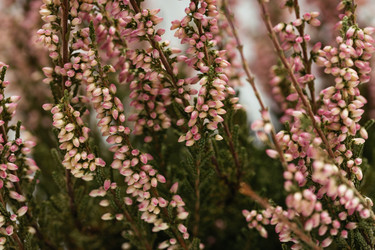 Similar image 21887993