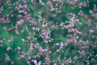 Similar image 21887995