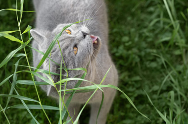 Similar image 21887996