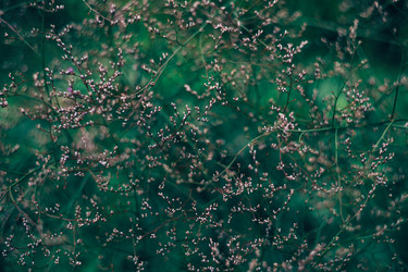 Similar image 21887999