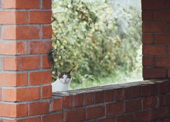 Similar image 21888000