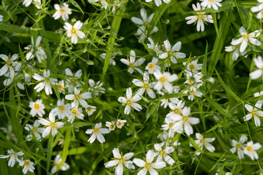 Similar image 21888001