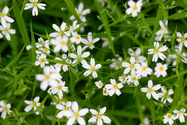 Similar image 21888005