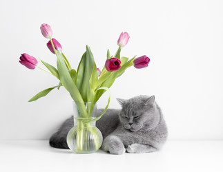 Similar image 21888006