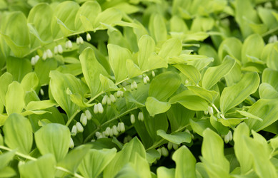 Similar image 21888009