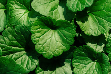 Similar image 21888010