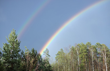 Similar image 21888014