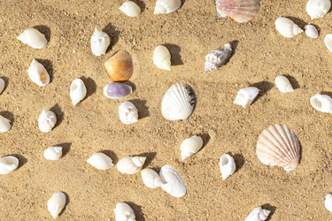 Similar image 21888018