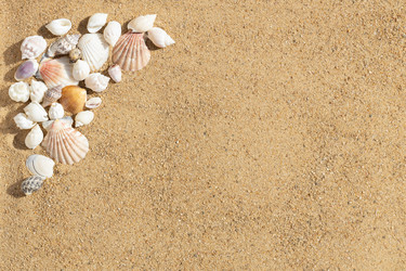 Similar image 21888020