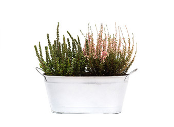 Similar image 21888021