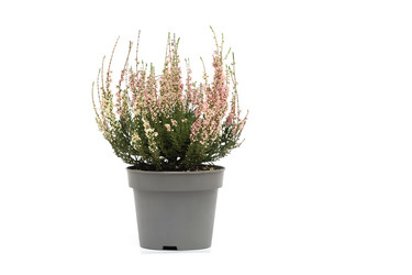 Similar image 21888023