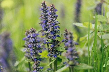 Similar image 21888026