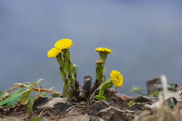 Similar image 21888029