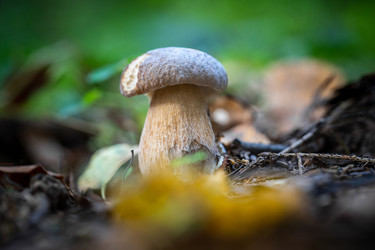 Similar image 21888031