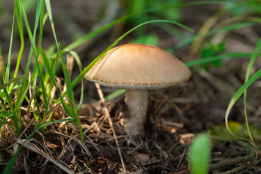 Similar image 21888032