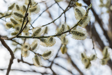 Similar image 21888034