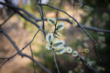 Similar image 21888035