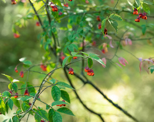 Similar image 21888036