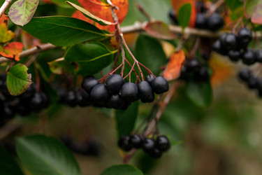 Similar image 21888037