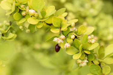 Similar image 21888039