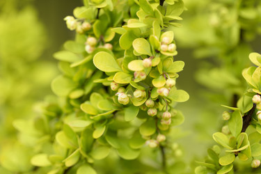 Similar image 21888040