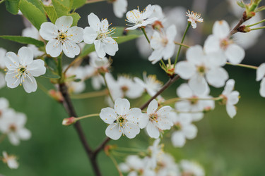 Similar image 21888041