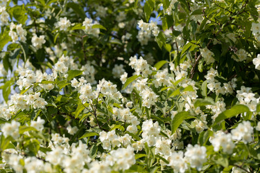 Similar image 21888052