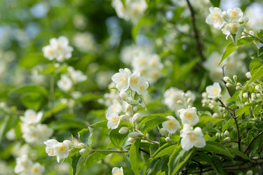 Similar image 21888054