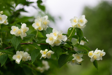 Similar image 21888055