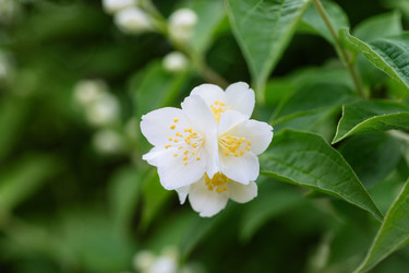 Similar image 21888056