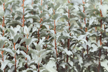 Similar image 21888058