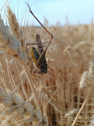 Similar image 21885315