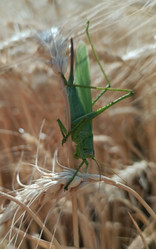 Similar image 21885316