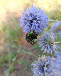 Similar image 21885318