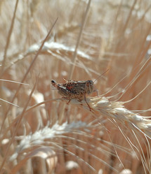 Similar image 21885319