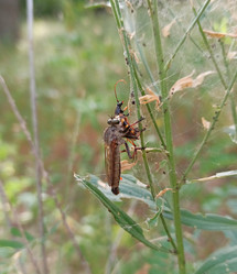 Similar image 21885321