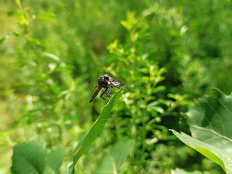 Similar image 21885322