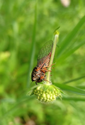 Similar image 21885324