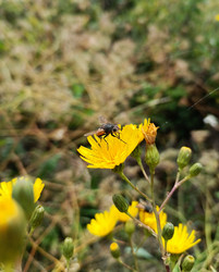 Similar image 21885325