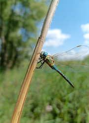 Similar image 21885326